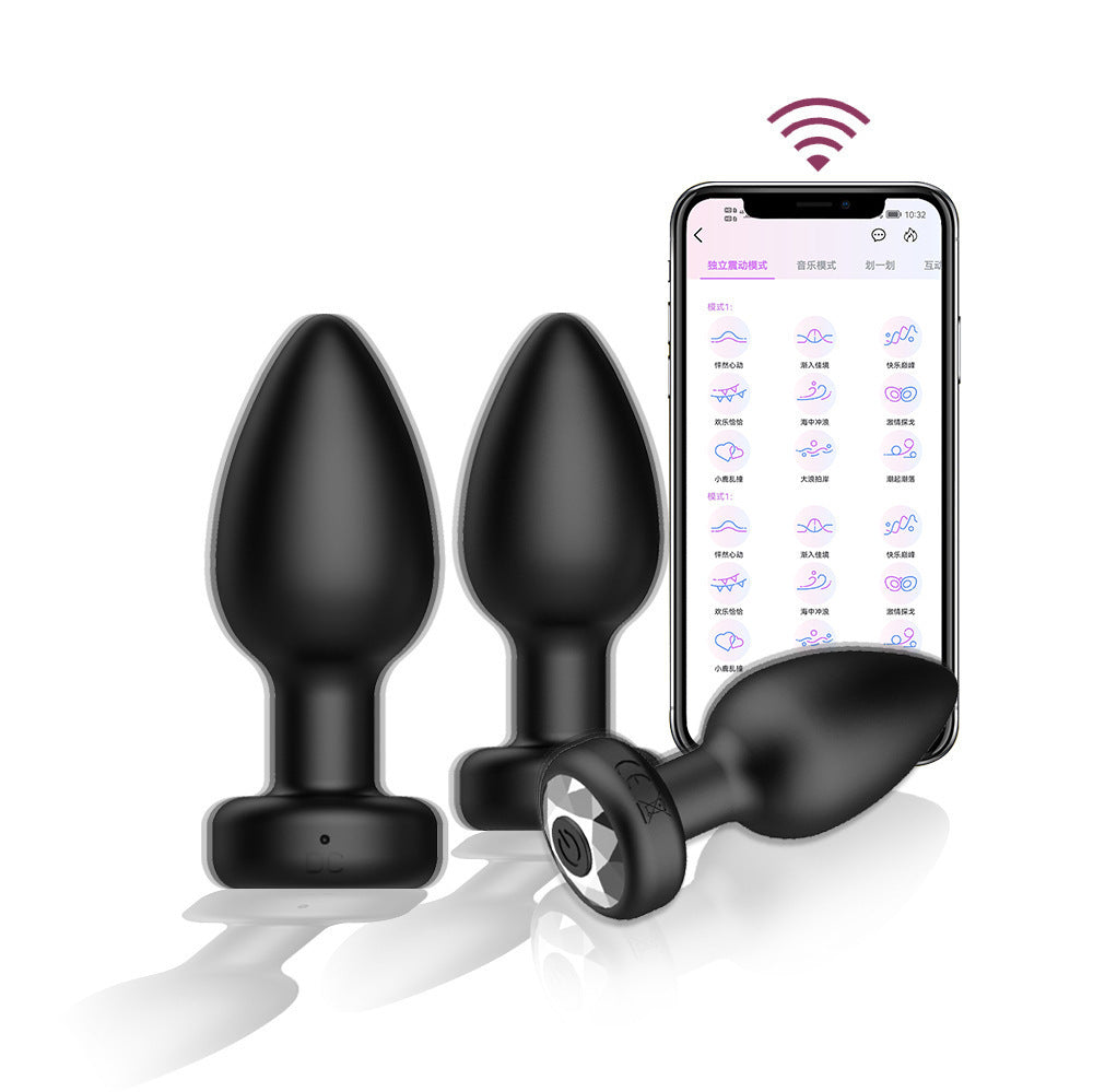 Obsidian Pulse™ Remote Control Plug